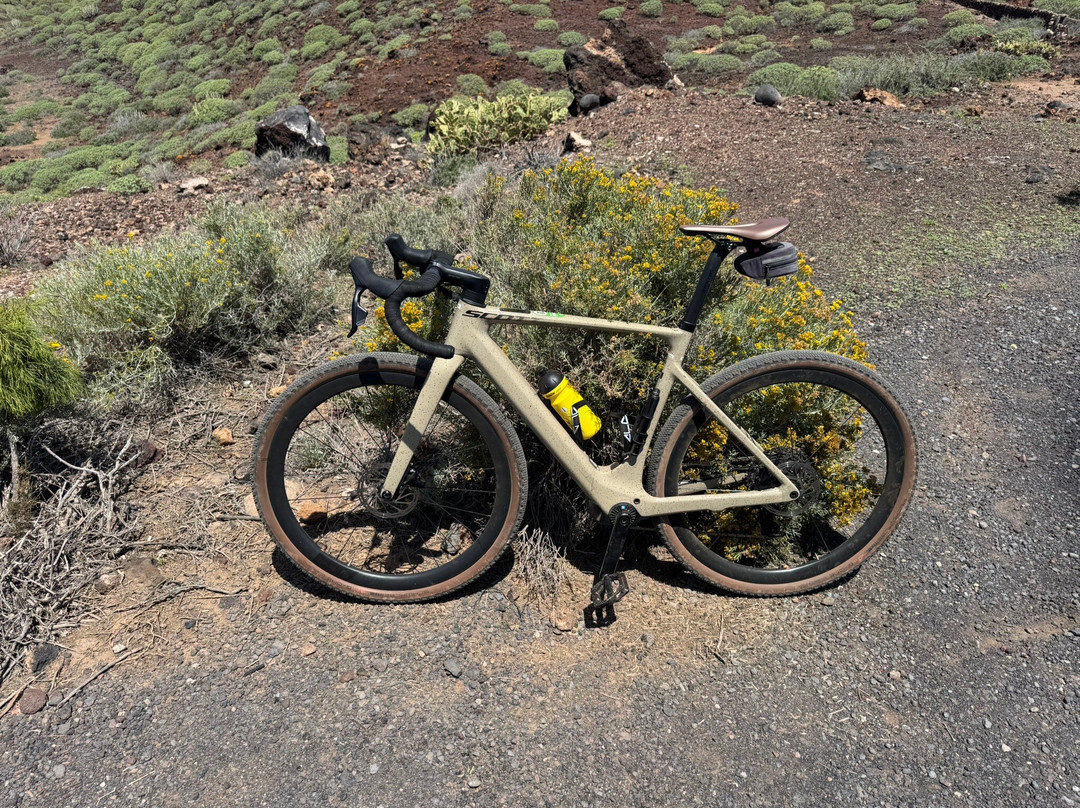 Bike Point Tenerife - El Medano-El Medano必去景点