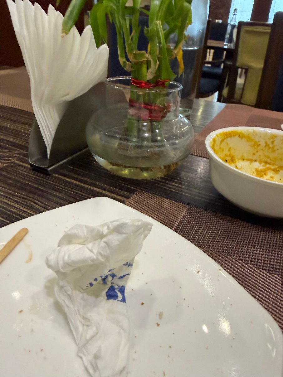 焦特布尔洛兹旅馆-官方