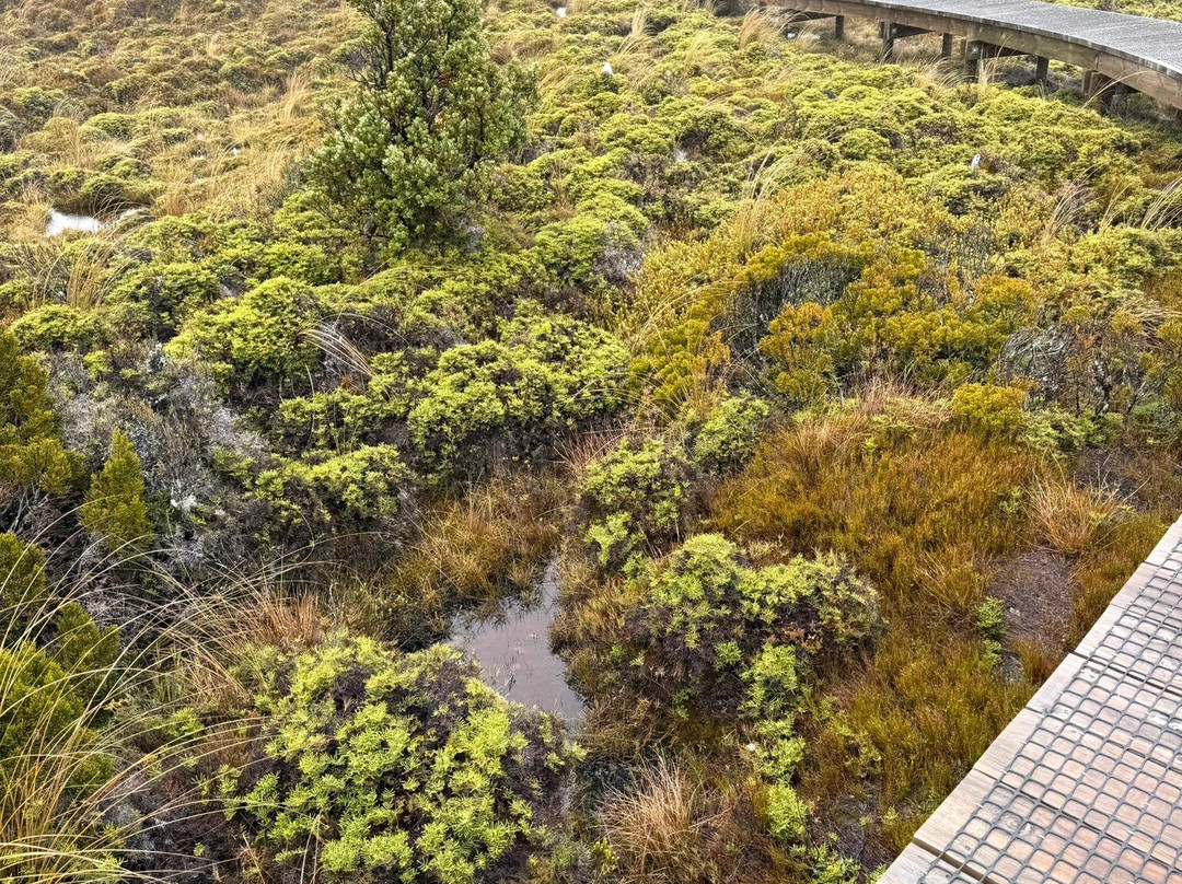 Waitonga Falls Track-奥阿库尼必去景点