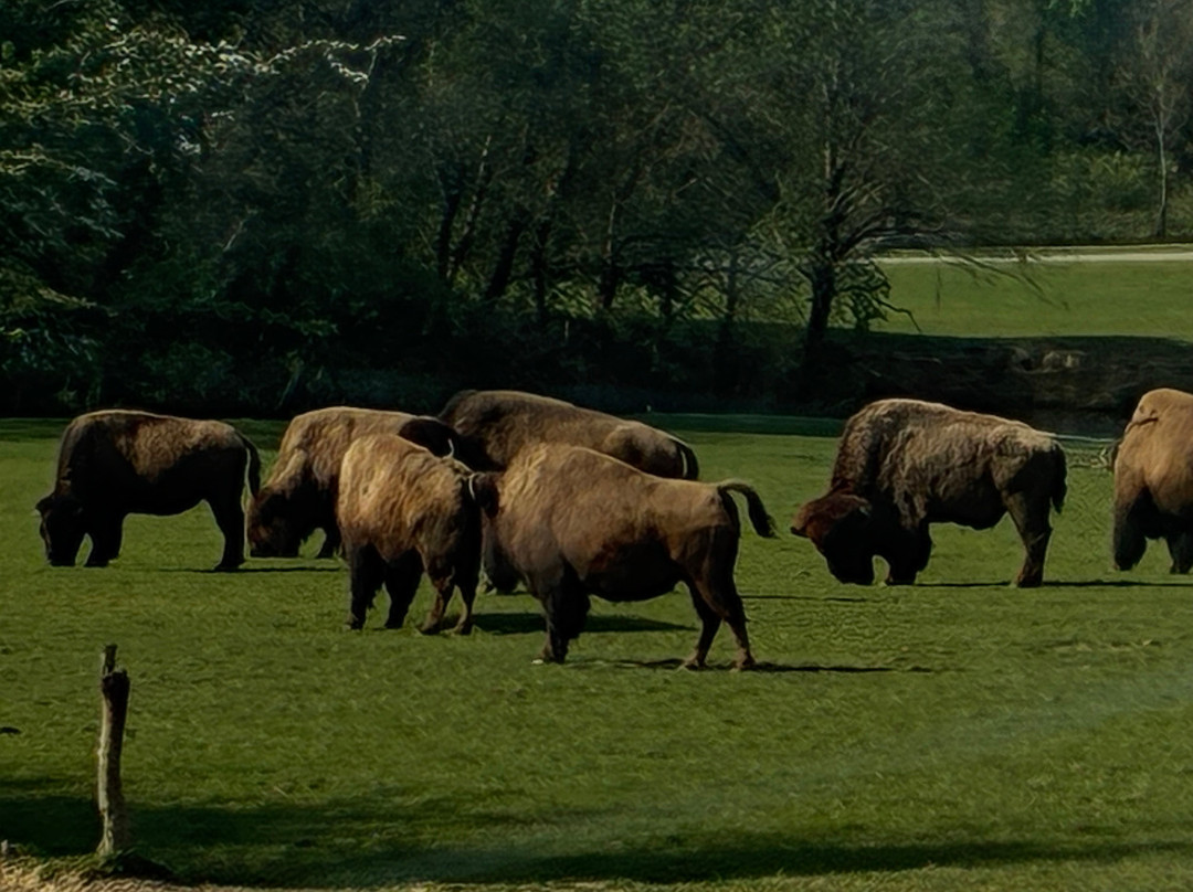 Planète Sauvage-Port-Saint-Pere必去景点
