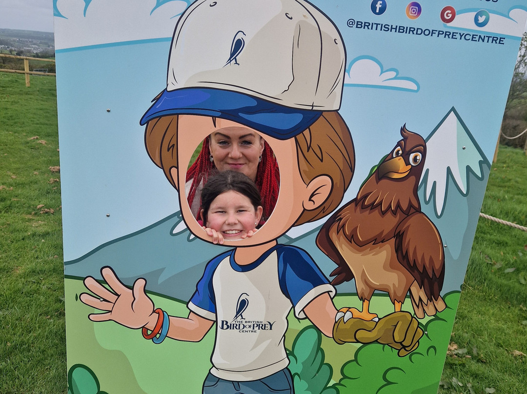 The British Bird of Prey Centre-喀麦登必去景点