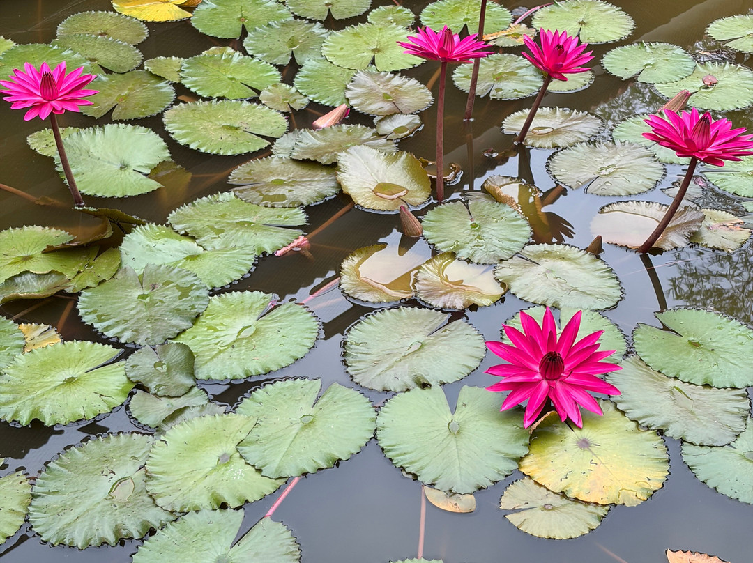 马拉巴海滨度假村及水疗中心主图