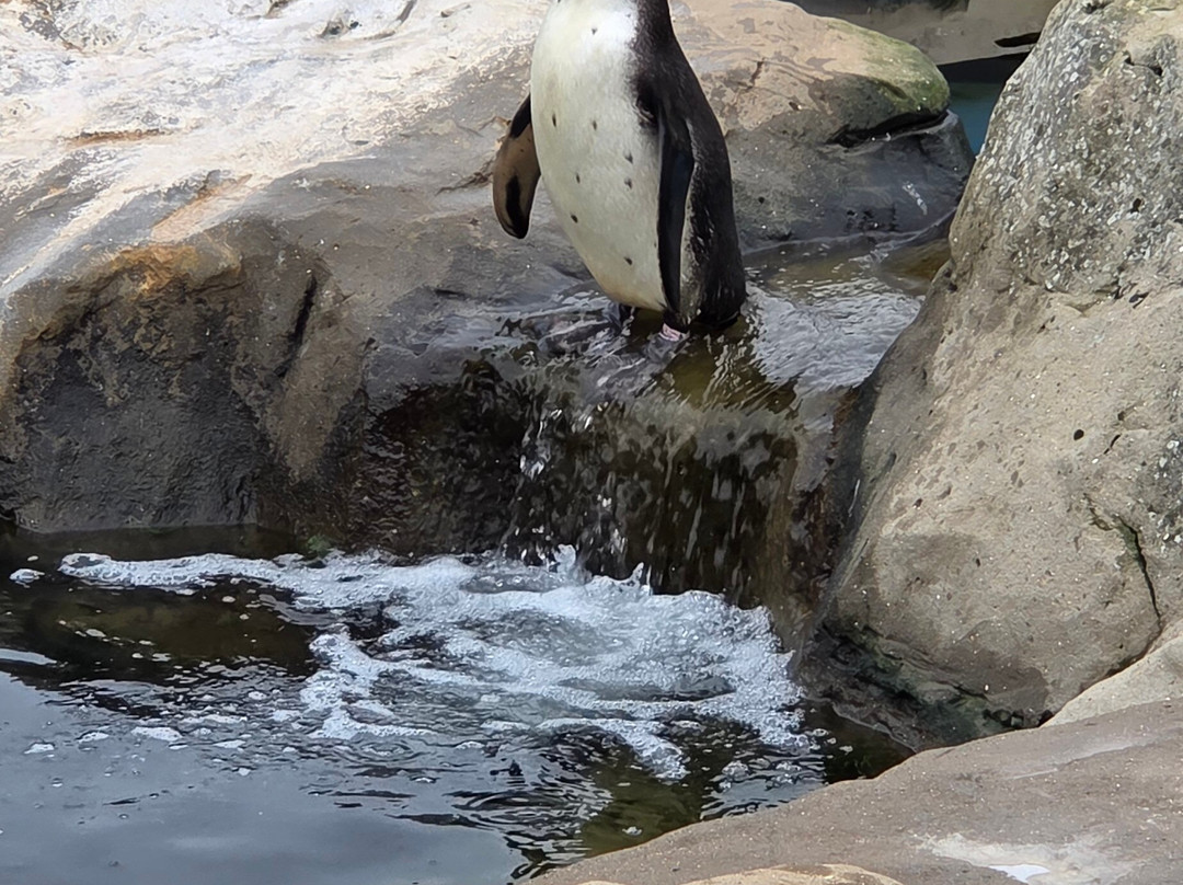 Sea Life Scarborough-斯卡伯勒必去景点