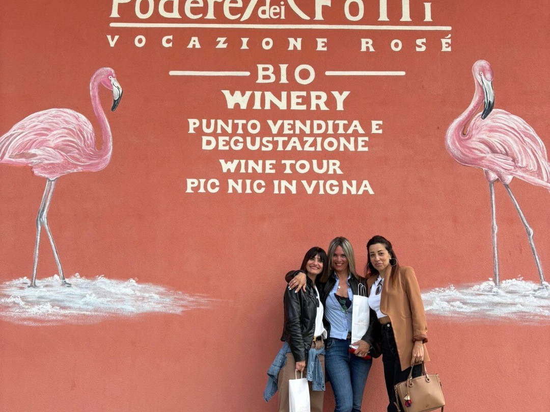 Podere Dei Folli-Polpenazze del Garda必去景点