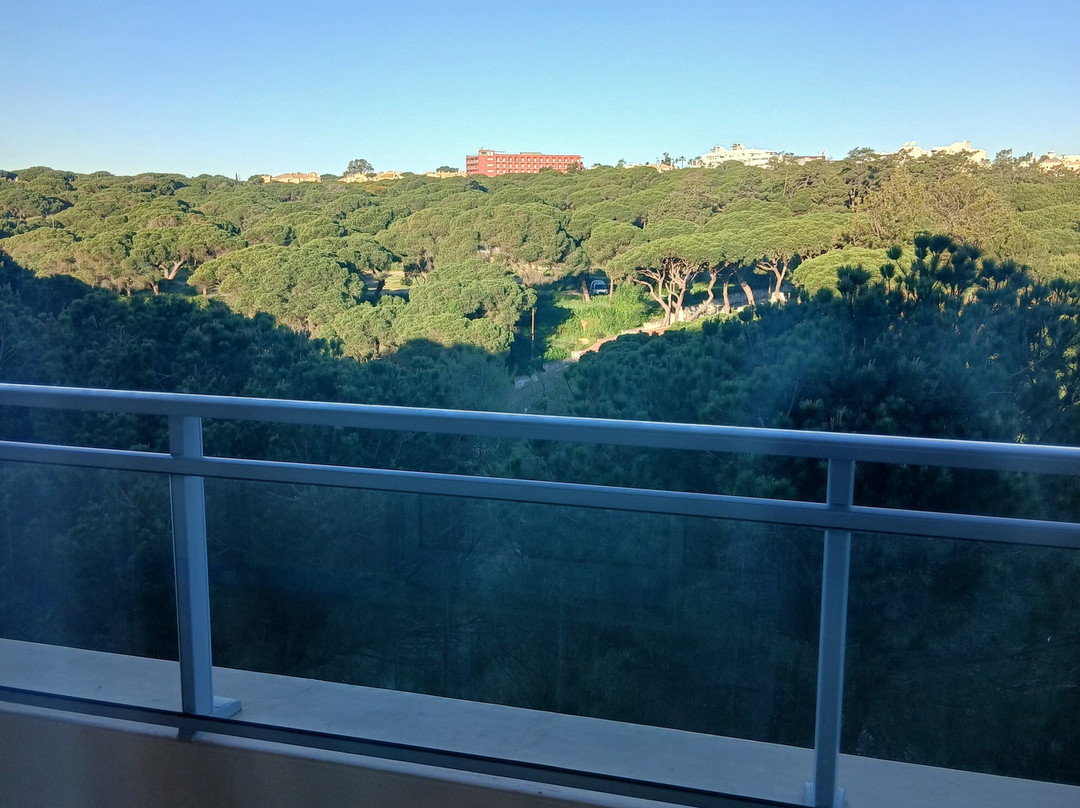 圣欧拉利娅里尔度假大酒店及Spa中心主图