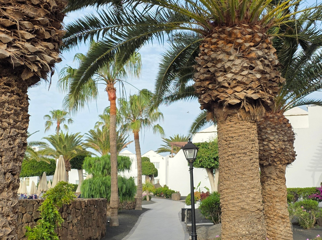 H10怀特精品套房酒店-仅限成人主图