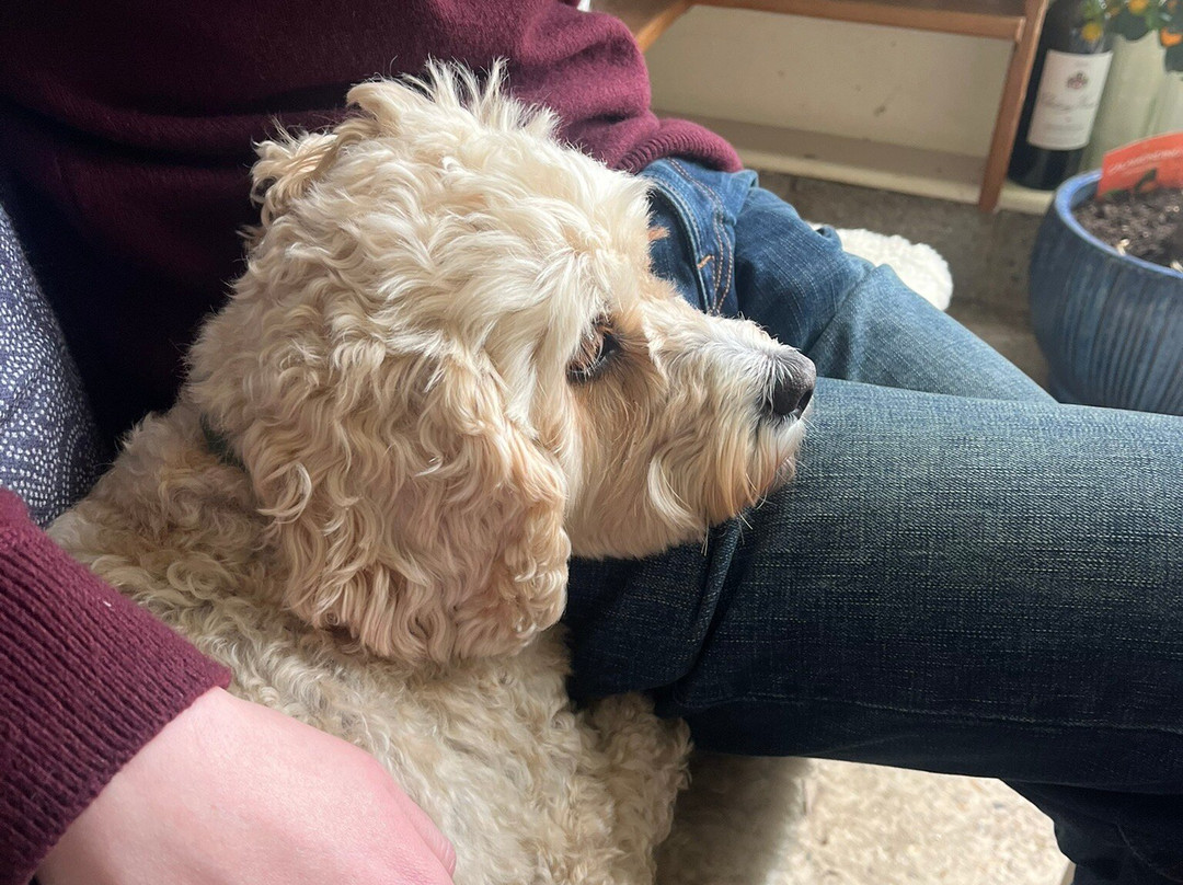 Brabourne Vineyard-Brabourne必去景点