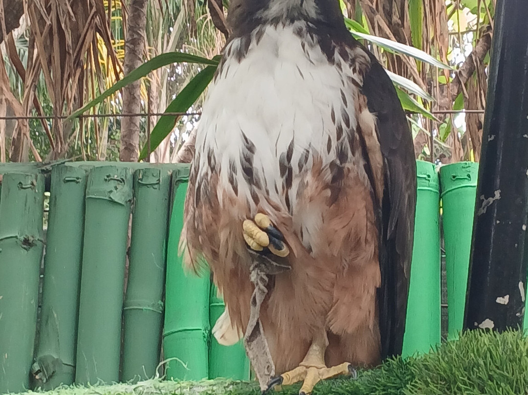 Refugio Animal De Costa Rica-圣安娜必去景点