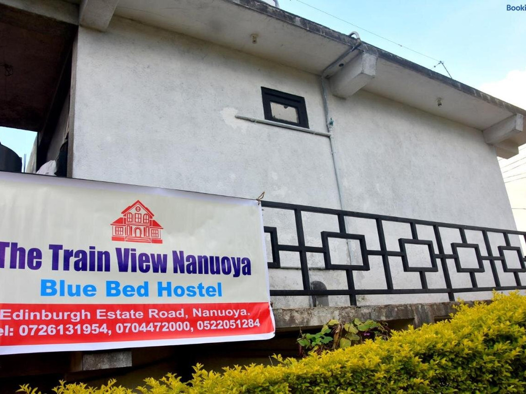 Blue Bed Hostel
