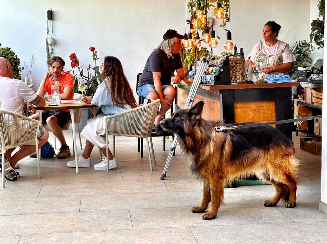 Winery Sabulum-伦巴达必去景点