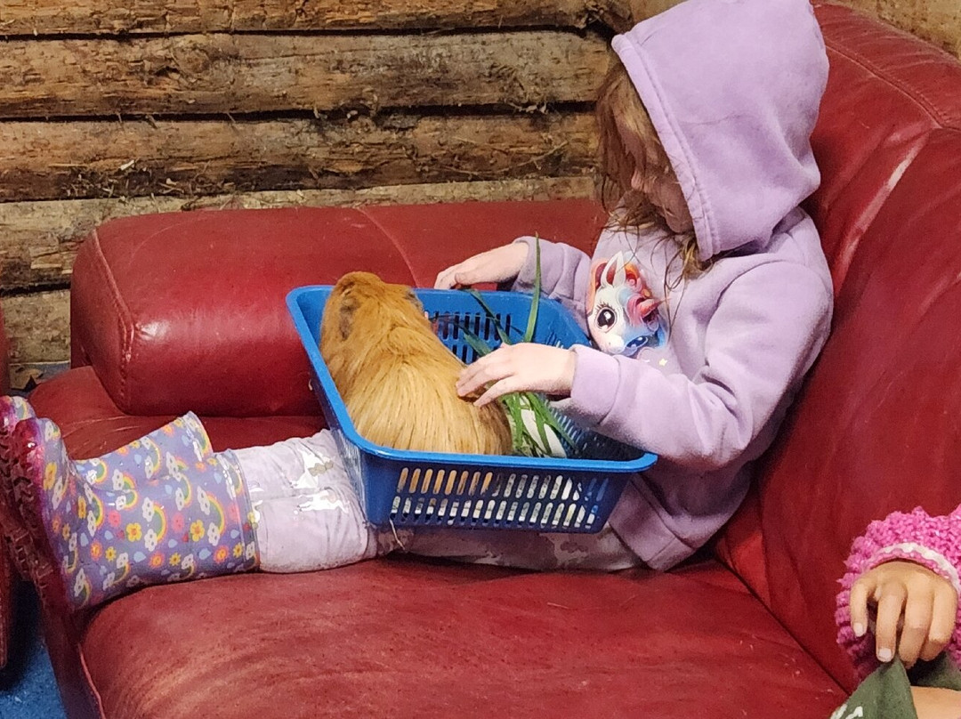 Lilliput Farm Fun And Animal Park-陶波必去景点