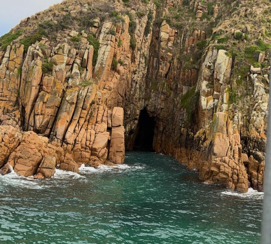 Wildlife Coast Cruises-考斯必去景点