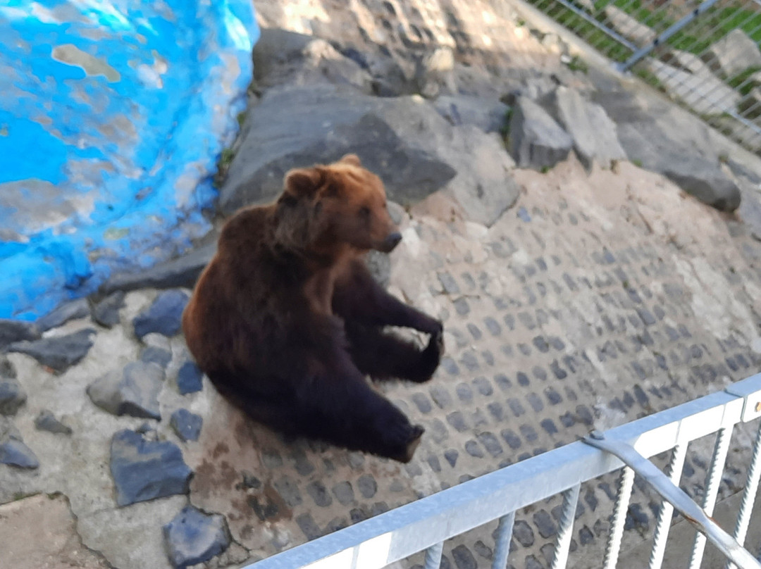 Wild- & Freizeitpark-Klotten必去景点