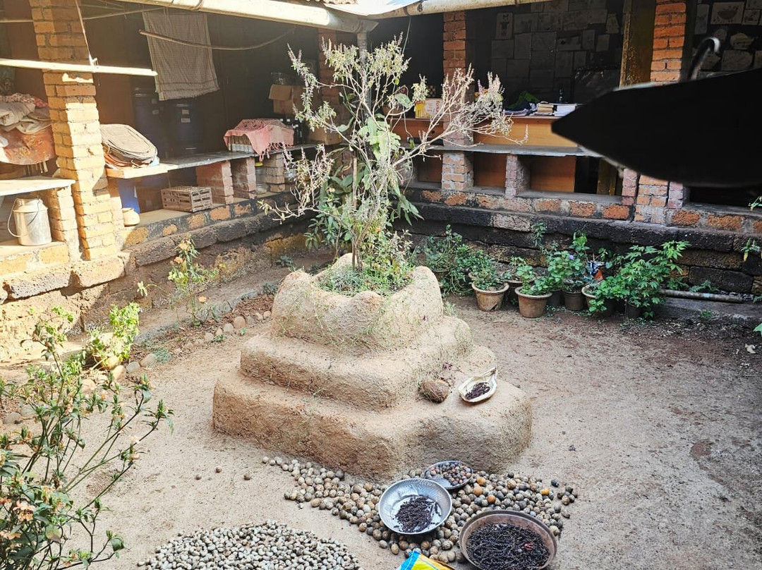 Tanshikar's Working Organic Spice Farm-Sanguem必去景点