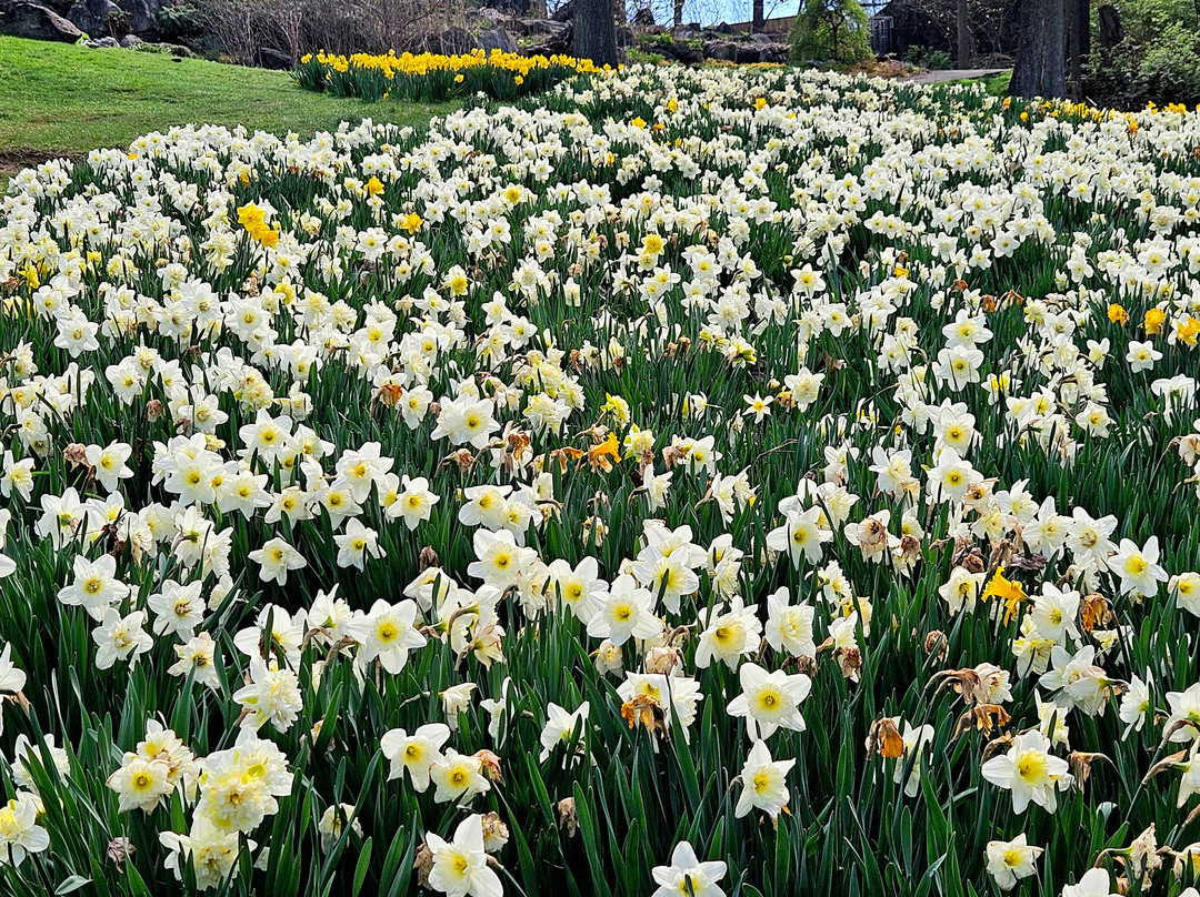 Untermyer Gardens-Yonkers必去景点