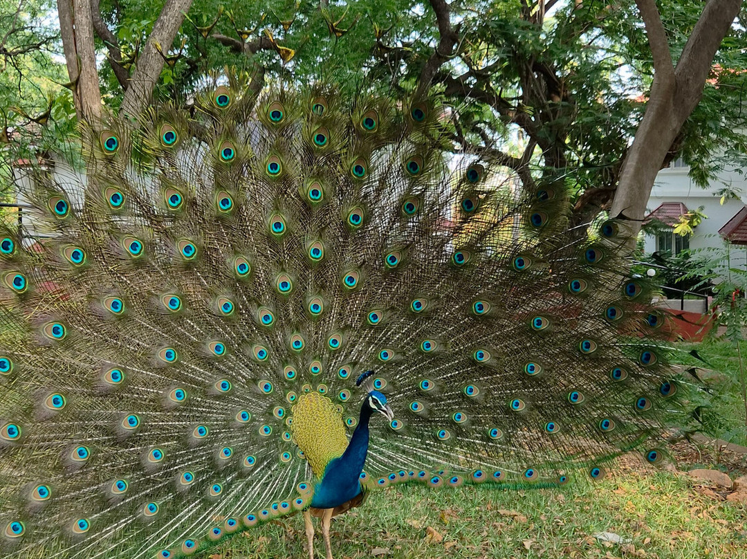 Gateway马杜赖主图