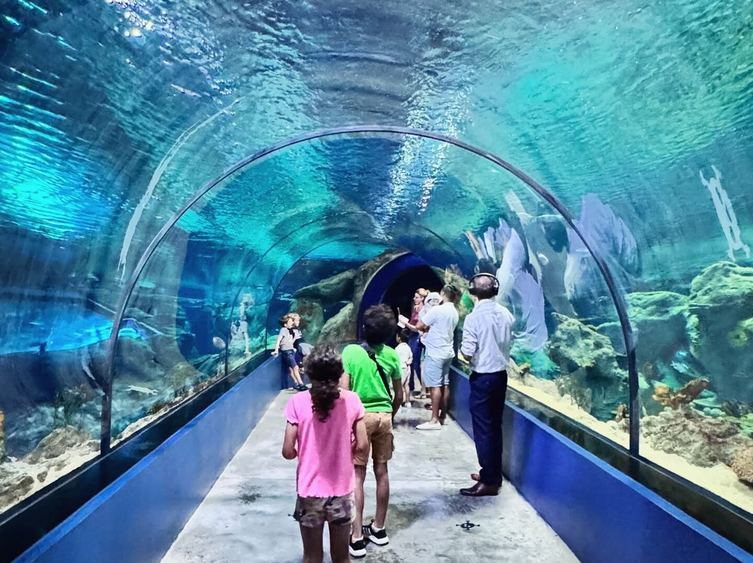Odysseo Oceanarium Mauritius-路易士港必去景点