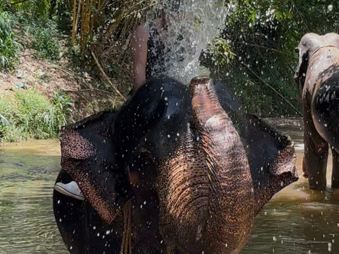 Charli Tours-亚洪加拉必去景点