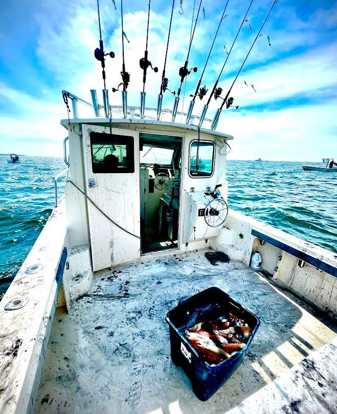 Black Rose Fishing Charters-Marshfield必去景点