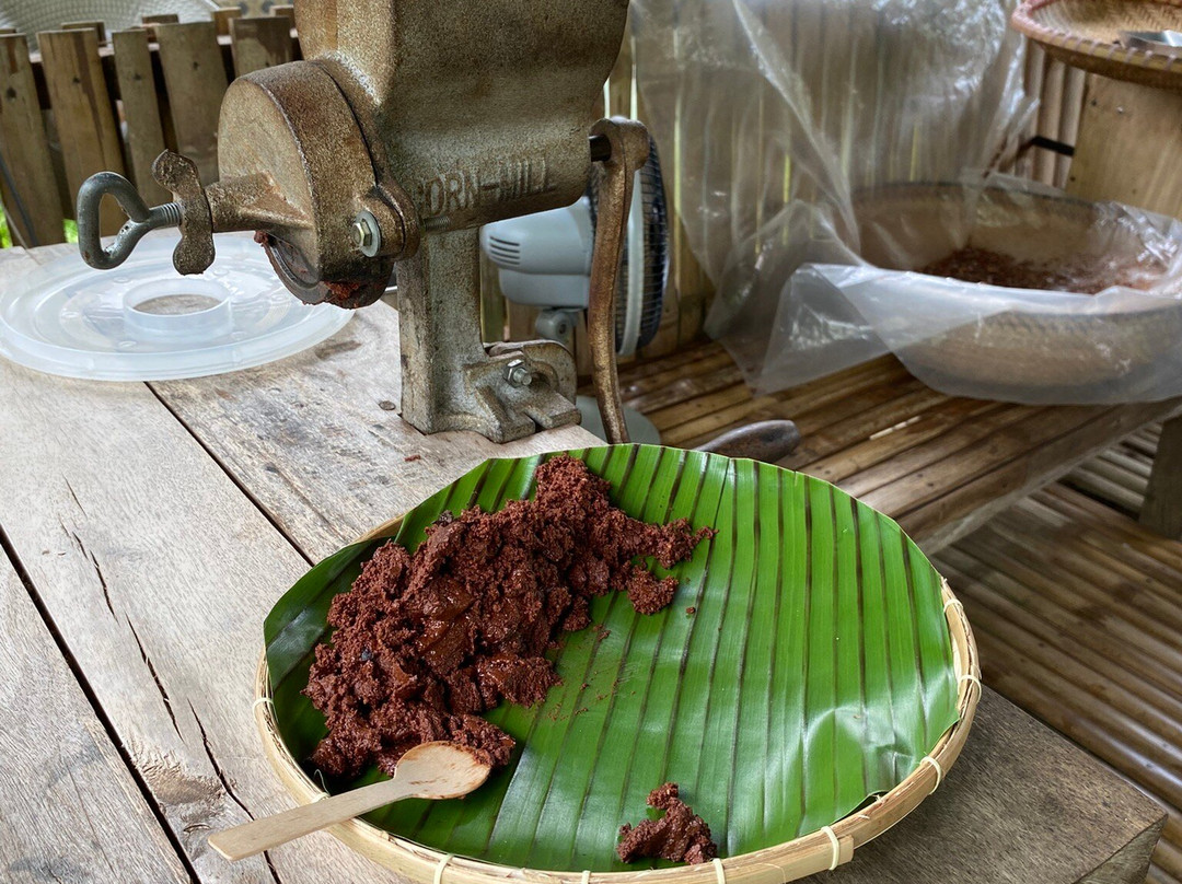 Bohol Chocolate Farm-Sagbayan必去景点