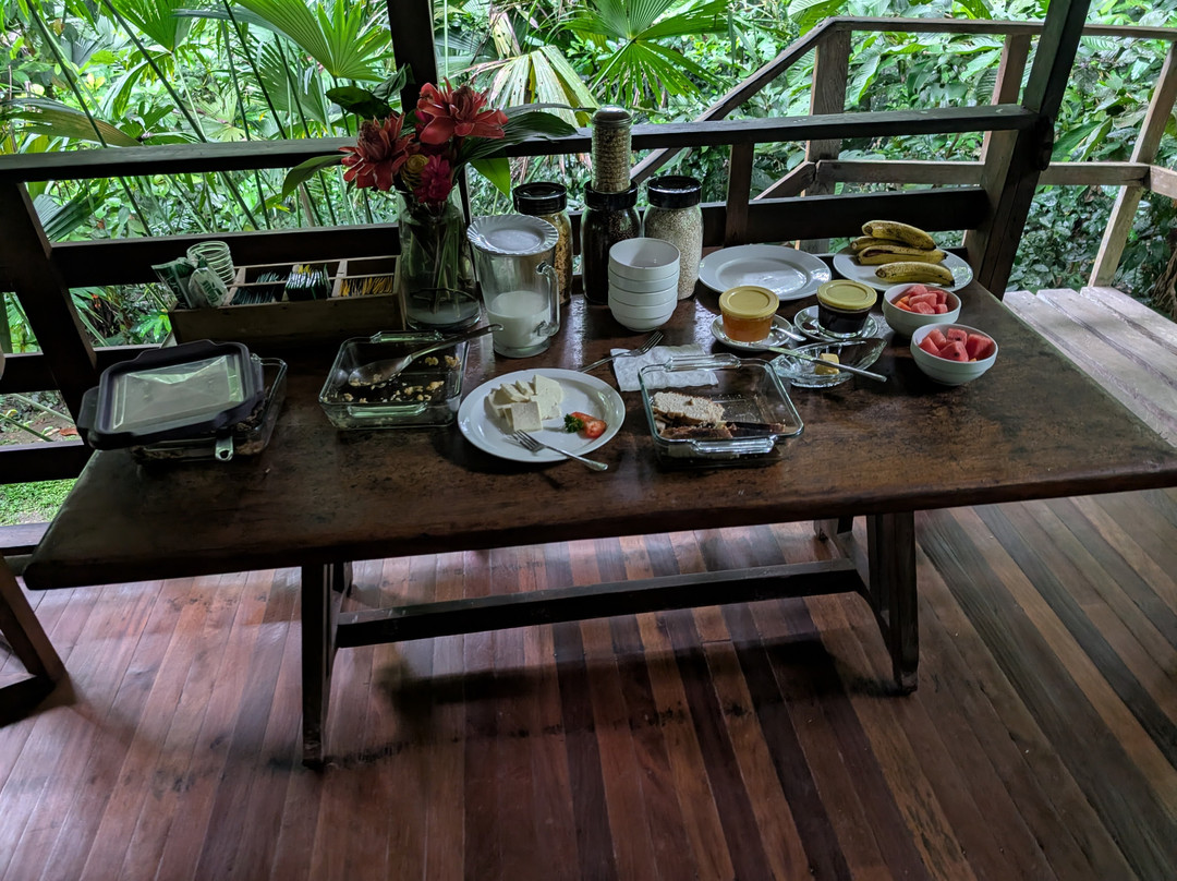Selva Bananito Lodge主图