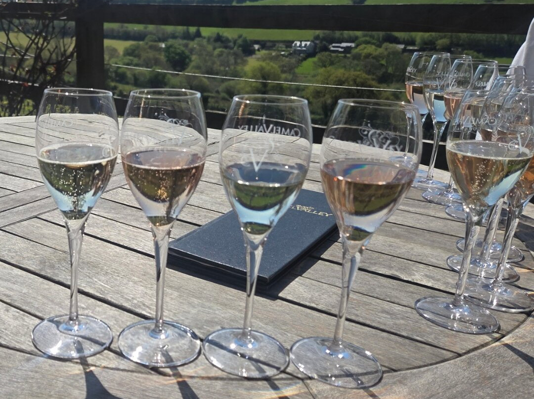 Camel Valley Vineyard-博德明必去景点