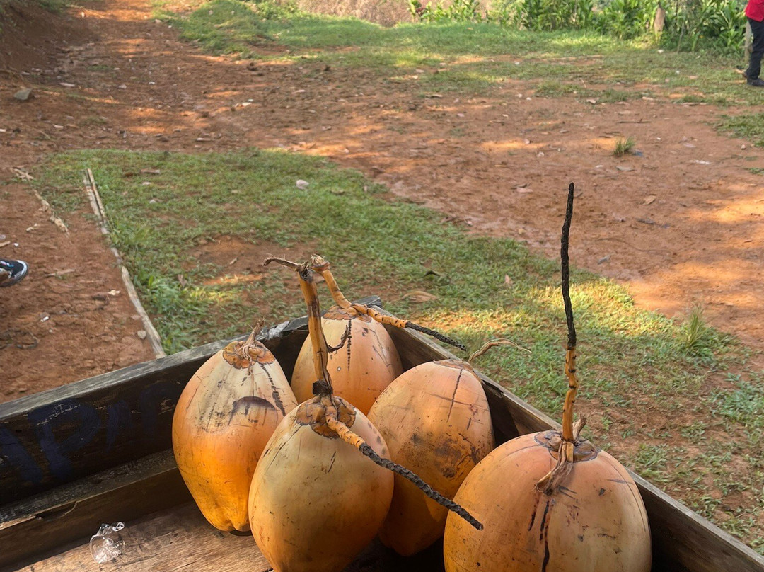 Curug Leuwi Asih-茂物必去景点