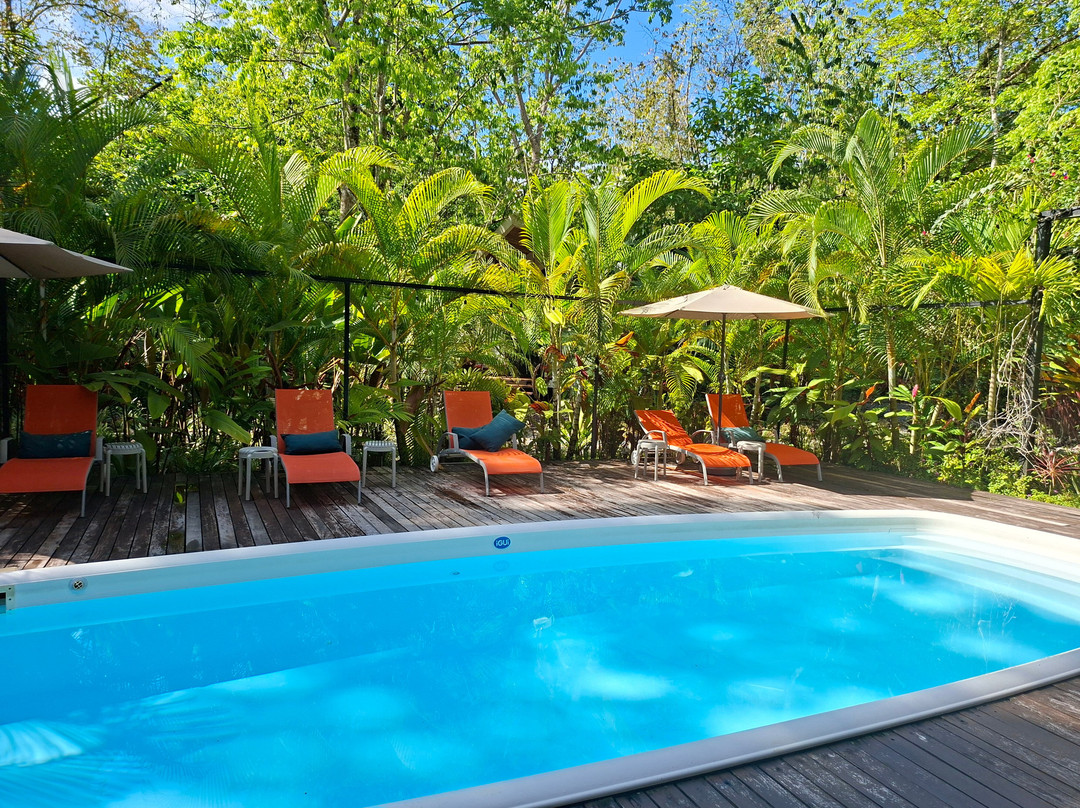 Dragonfly Beachfront Villas-Adult Only