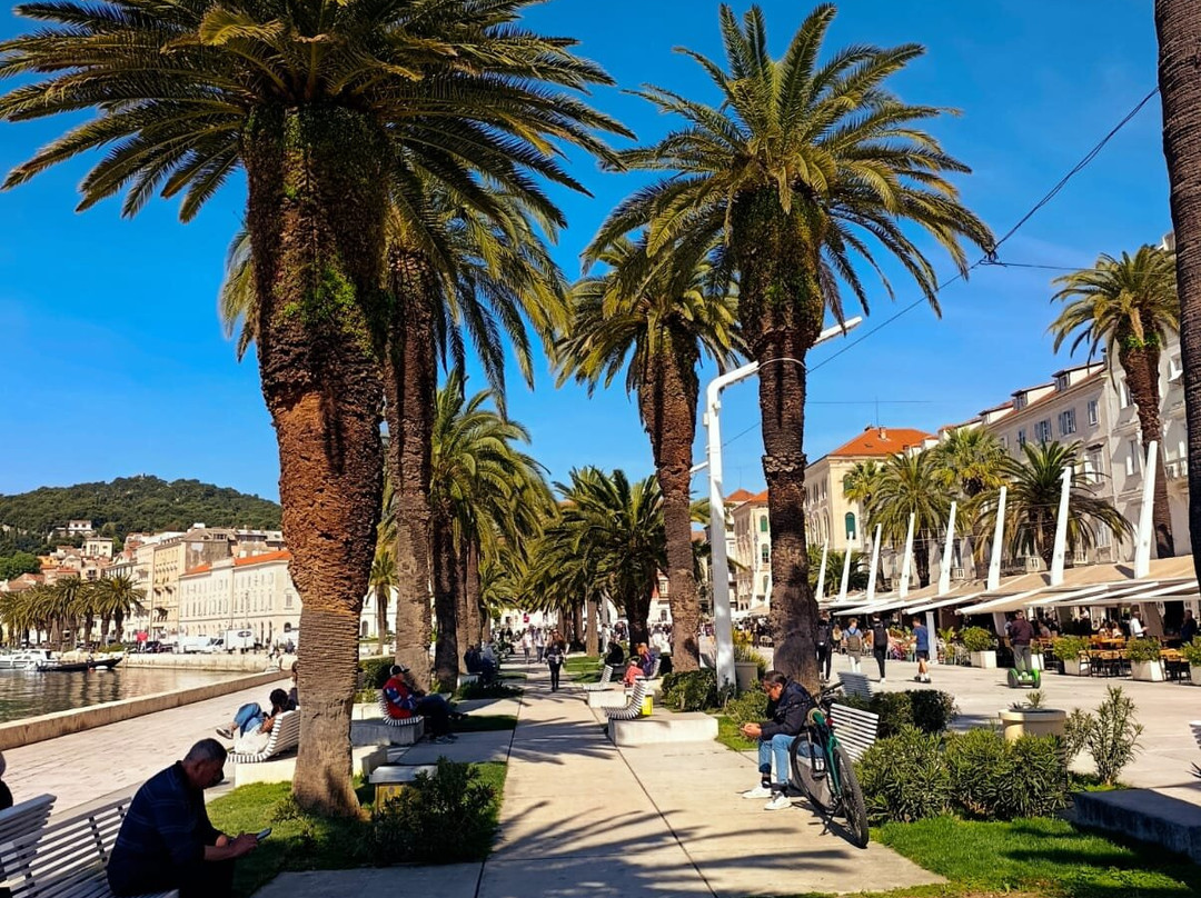 Private Tourist Guide Croatia-斯普利特必去景点