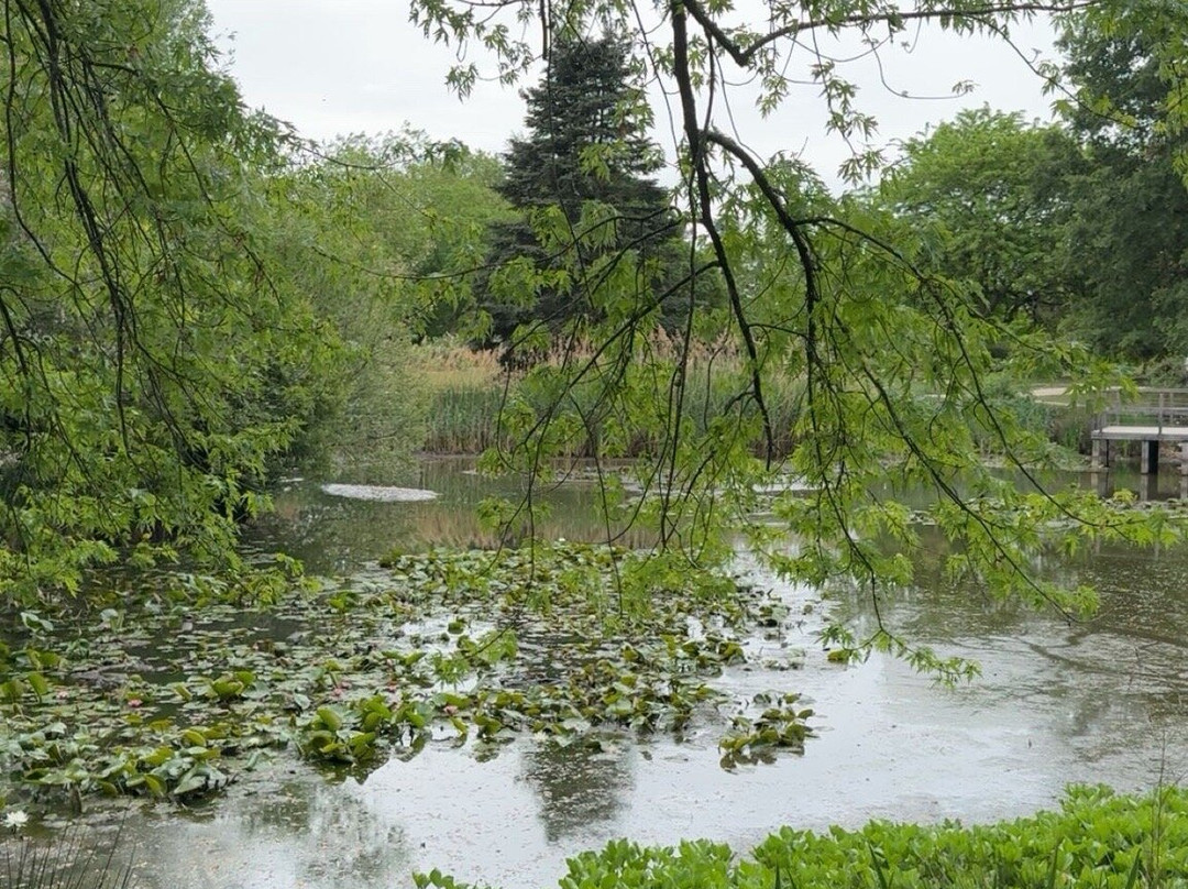 Parc floral de la Roseraie-普瓦捷必去景点