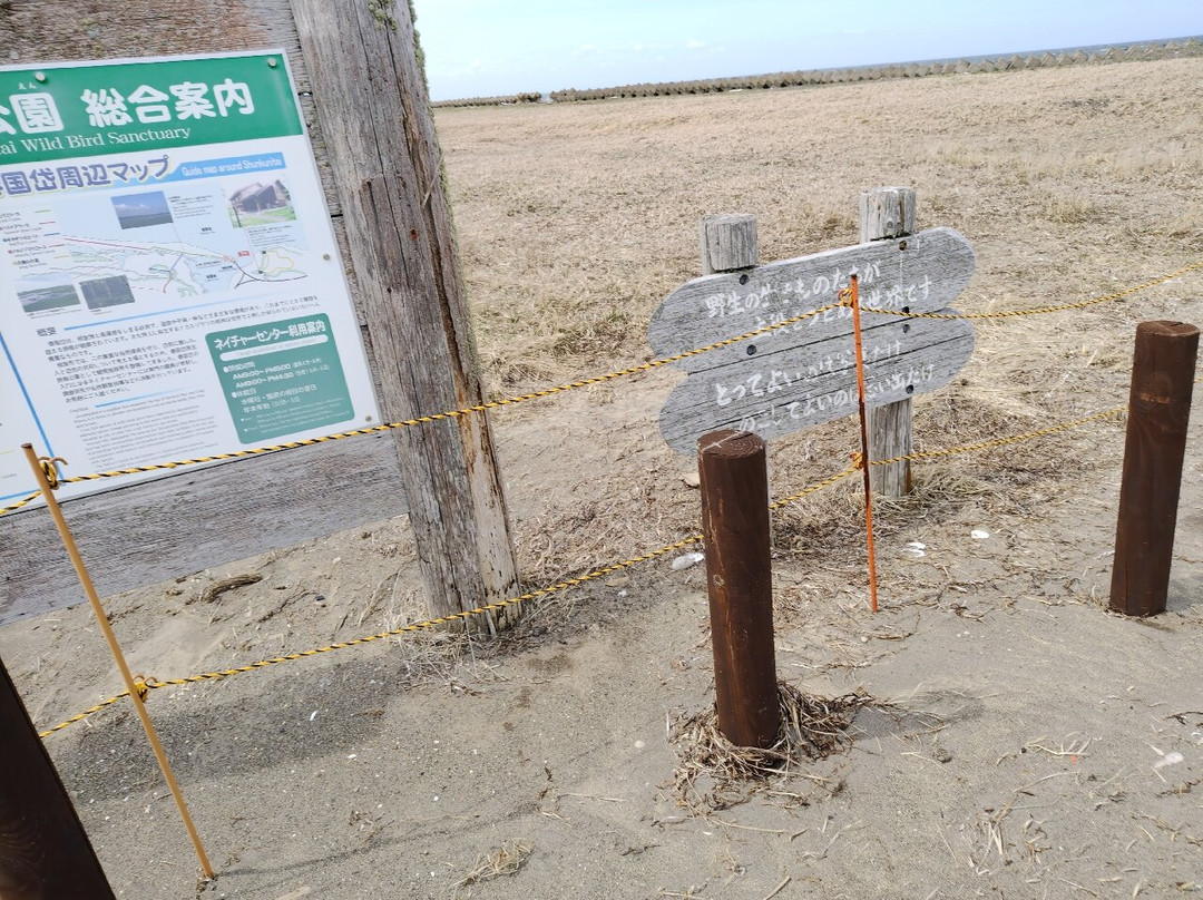 Shunkunitai-根室市必去景点