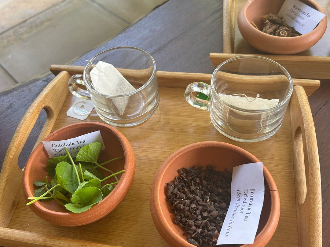 塔玛林德树酒店主图