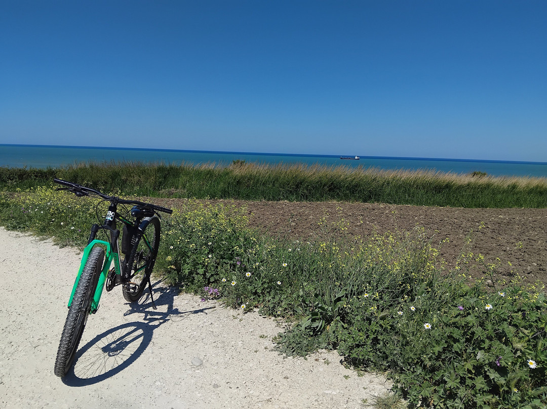 Riserva Naturale di Punta Aderci-瓦斯托必去景点