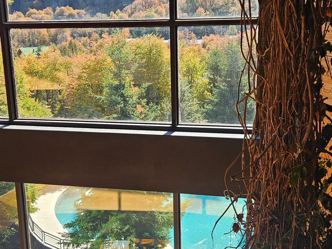 奇廉温泉酒店主图