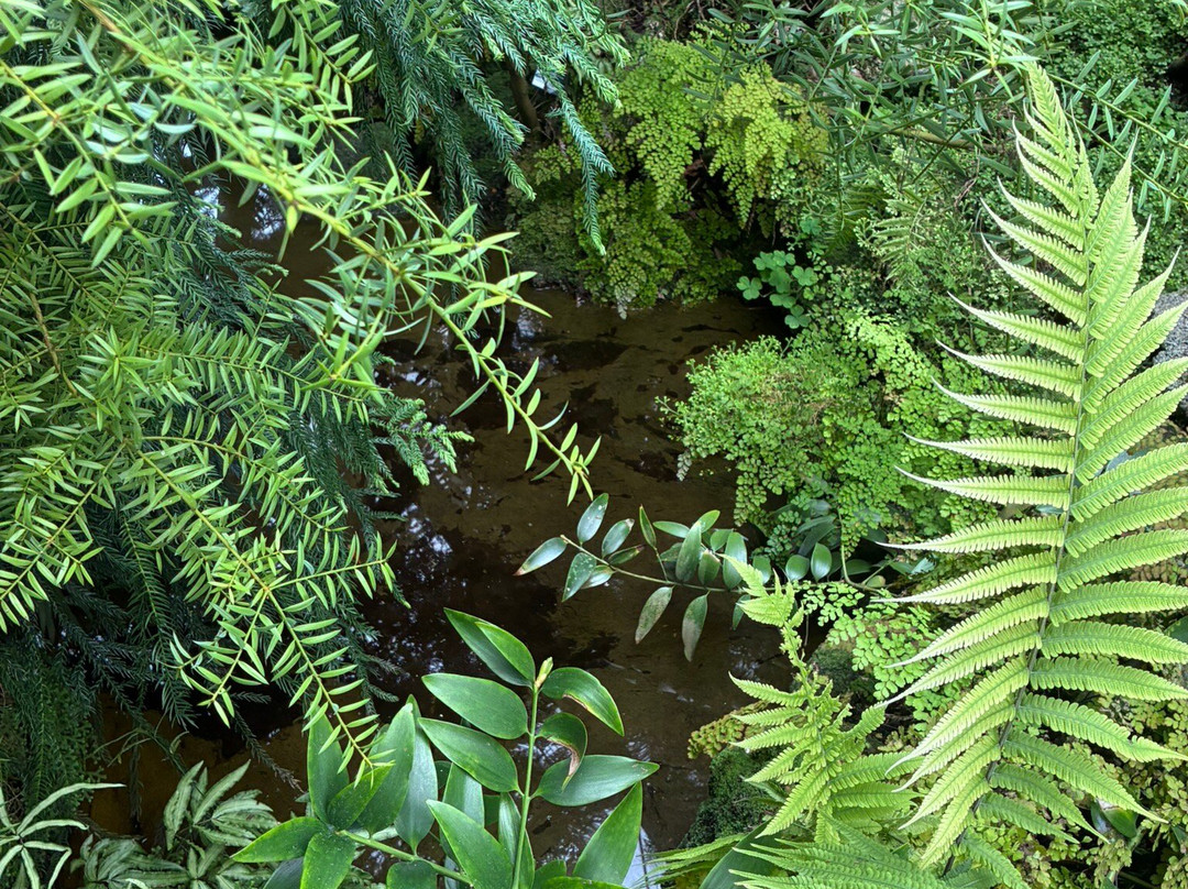 Pinetum Blijdenstein-Hilversum必去景点
