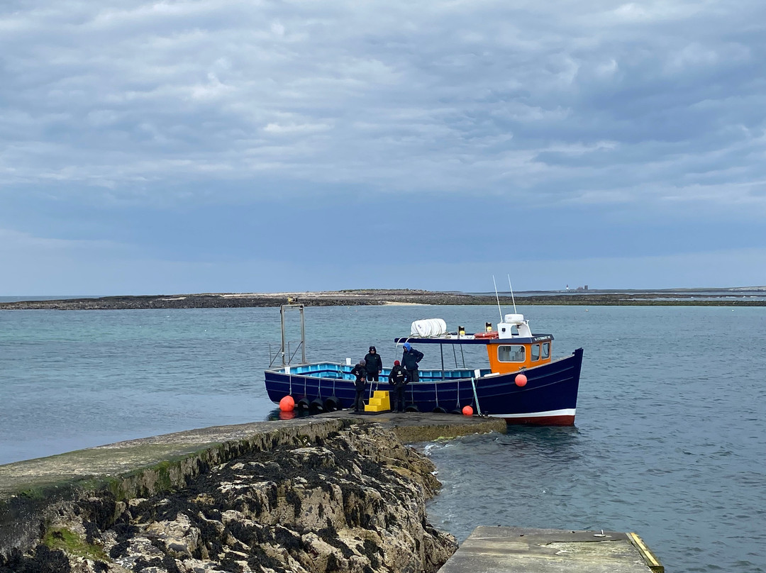 Billy Shiel's Boat Trips-Seahouses必去景点