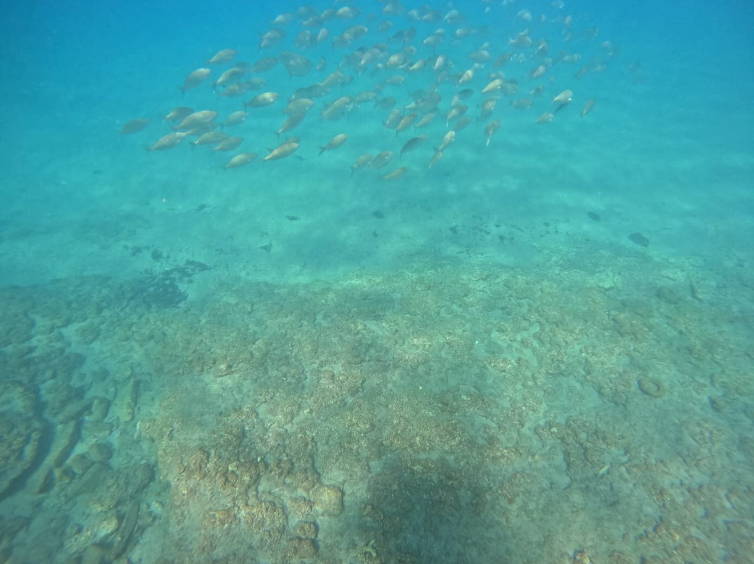 Big Fish Dive Center-Faliraki必去景点