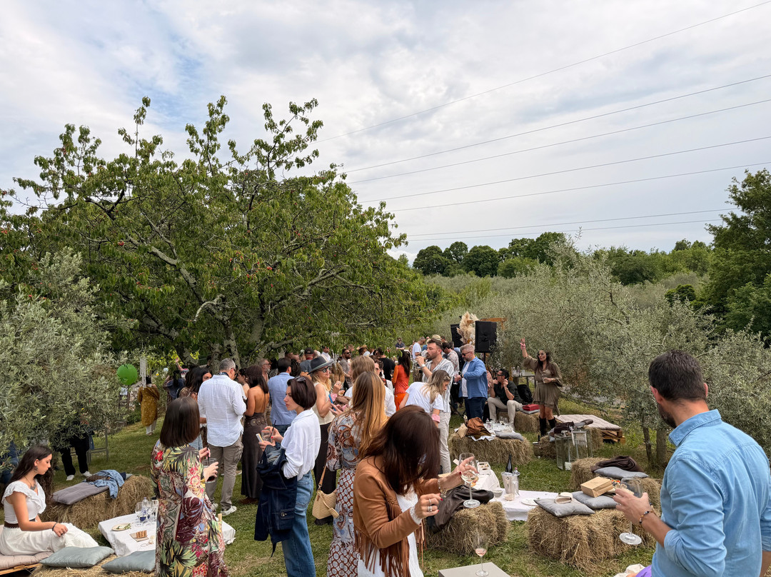 Cardo Boutique&Wine Resort