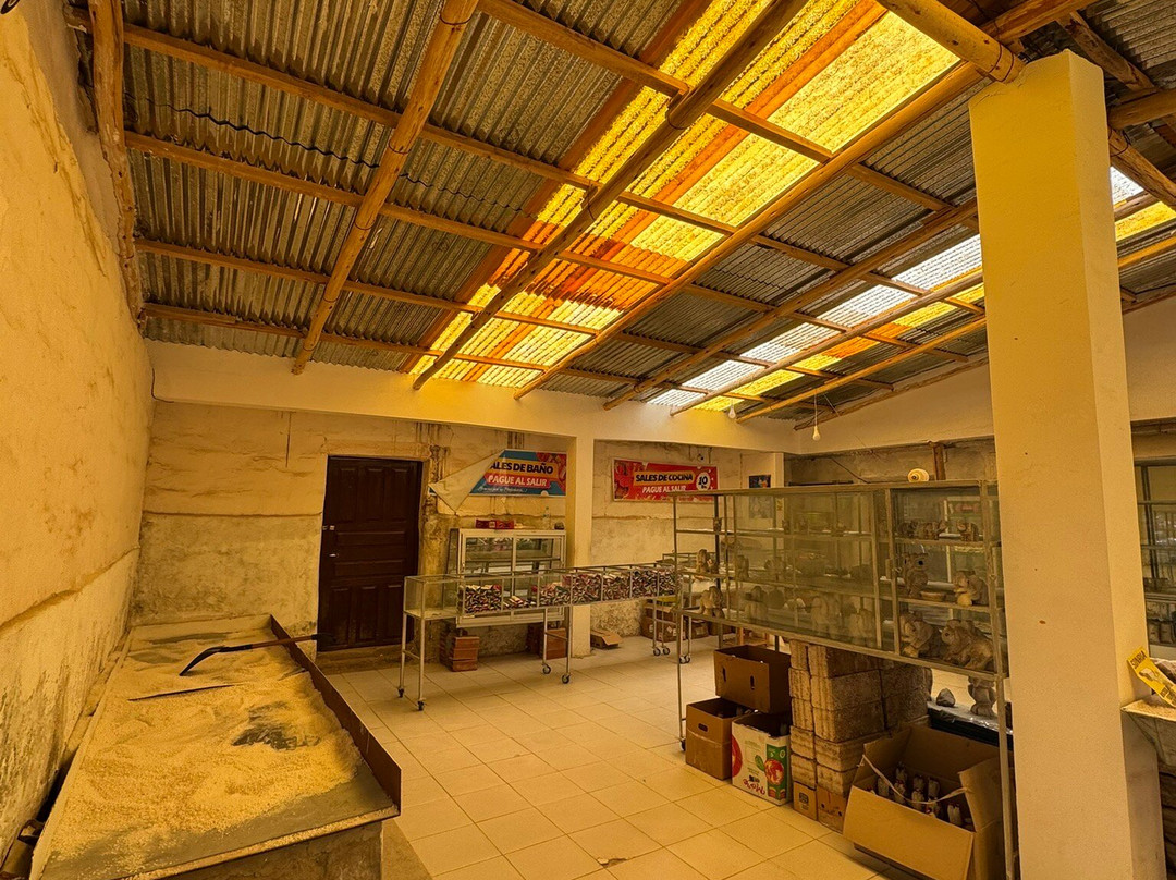 Museo de la Llama y la Sal-Colchani必去景点