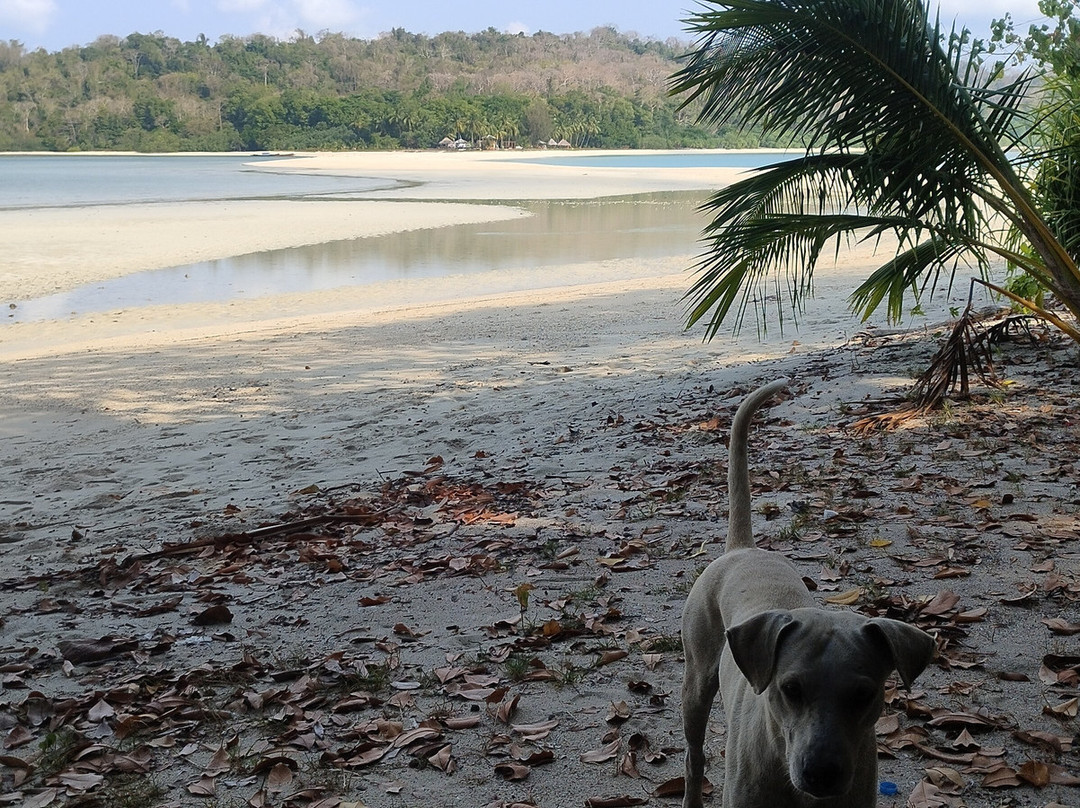 Ross and Smith Island-North Andaman Island必去景点