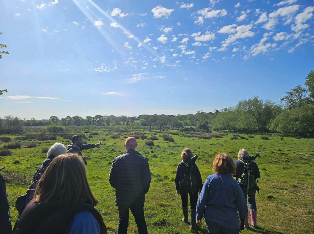 Birds Of Poole Harbour Events-普尔必去景点