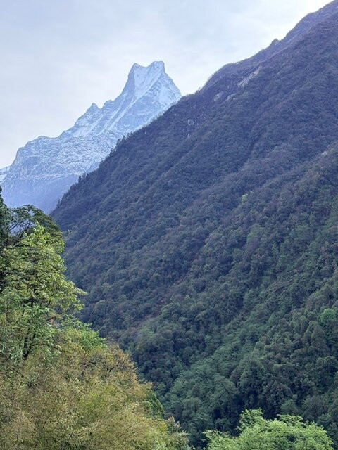 Finding Shiva-Tanakpur必去景点
