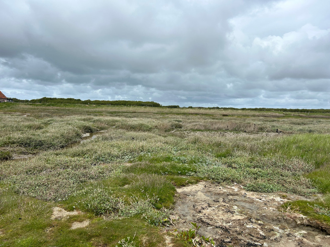Puur Terschelling-Terschelling必去景点