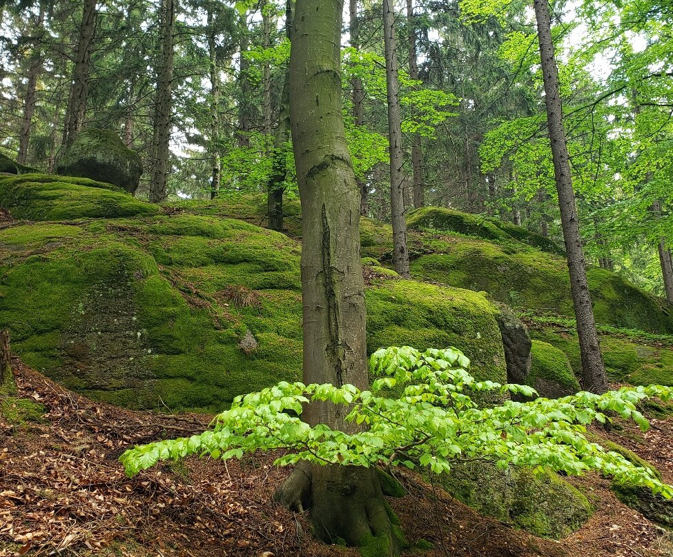 Rudawski Park Krajobrazowy-Kowary必去景点