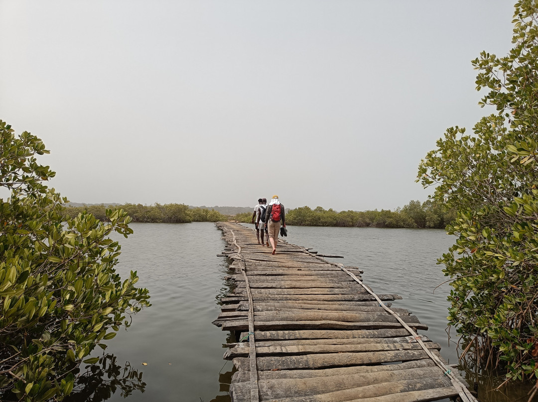 Casamance Vtt-Oussouye必去景点