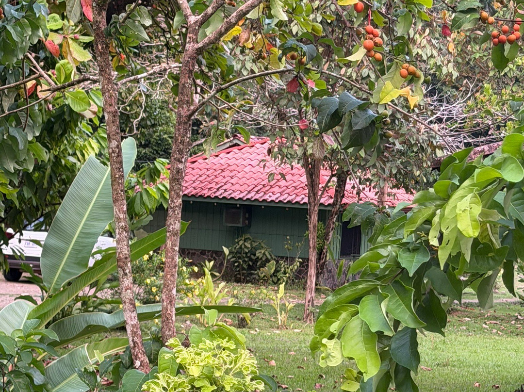 Hacienda Baru Lodge-主日镇必去景点