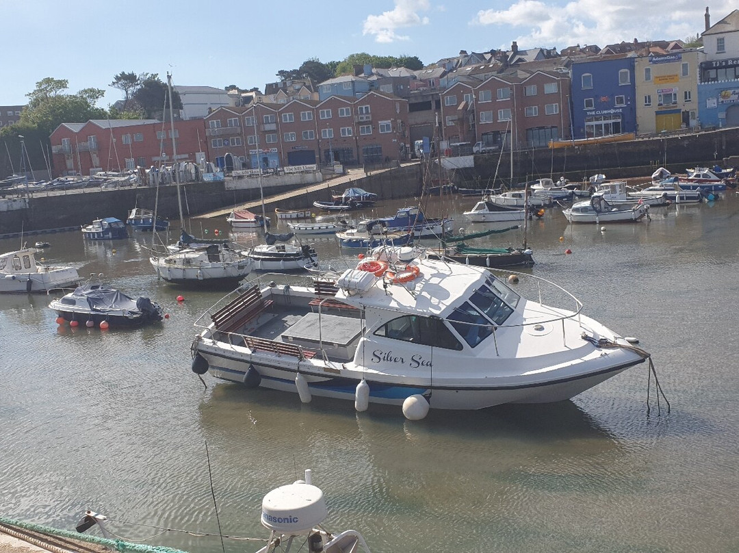 Paignton Harbour-佩恩顿必去景点