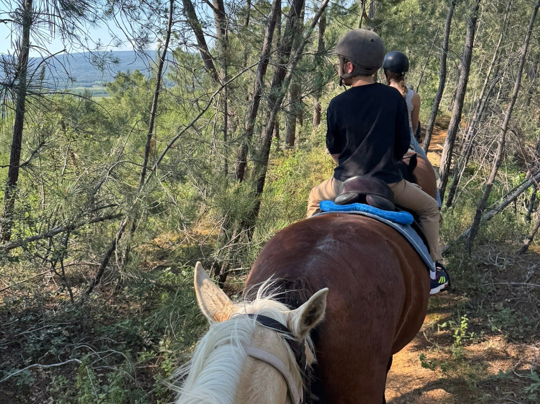 Provence Hipposervices-Saint-Saturnin-les-Apt必去景点