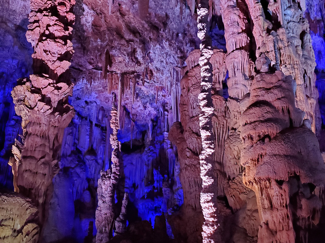 Grotte de la Salamandre-Mejannes-le-Clap必去景点