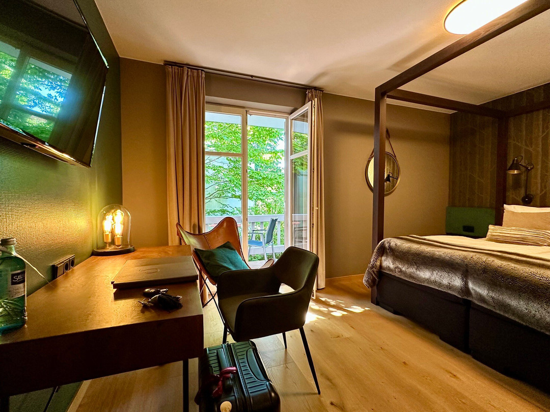 Schanz. Hotel主图